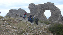 Proposte Leonella
